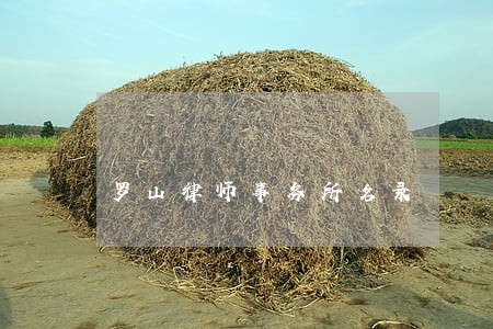 罗山律师事务所名录 罗山律师事务所名录