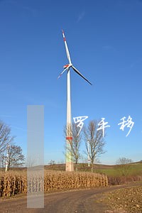 罗平移民留学律师 罗平移民留学律师