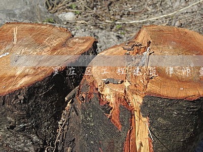 罗庄区工程建筑律师查询 罗庄区工程建筑律师查询