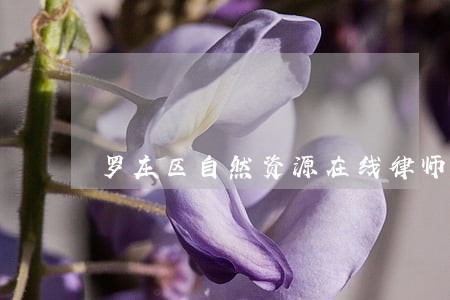 罗庄区自然资源在线律师 罗庄区自然资源在线律师