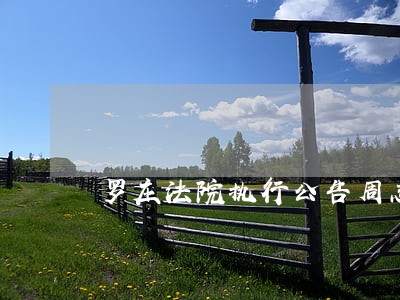 罗庄法院执行公告周志花