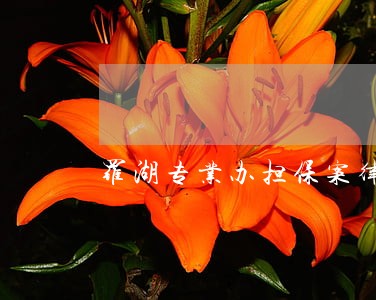 罗湖专业办担保案律师信誉至上