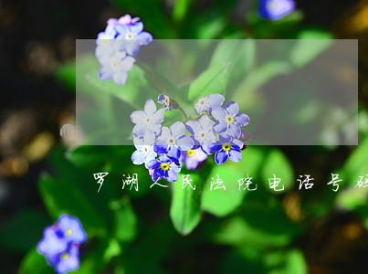 罗湖人民法院电话号码 罗湖人民法院电话号码