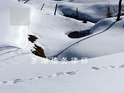 罗湖债务律师 罗湖债务律师