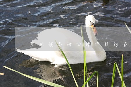 罗湖债务讨回律师预约咨询 罗湖债务讨回律师预约咨询