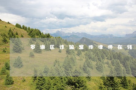 罗湖区诈骗案件律师在线 罗湖区诈骗案件律师在线