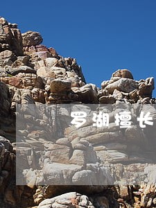 罗湖擅长办债务讨回律师 罗湖擅长办债务讨回律师