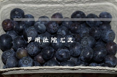 罗湖法院尤波 罗湖法院尤波