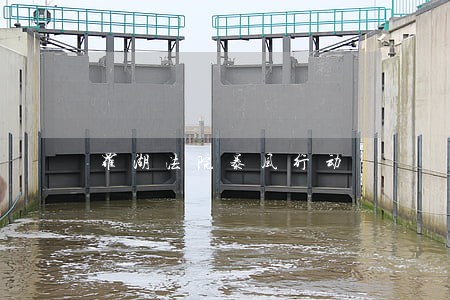 罗湖法院暴风行动 罗湖法院暴风行动