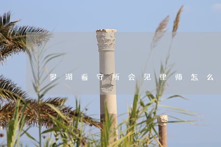 罗湖看守所会见律师怎么收费