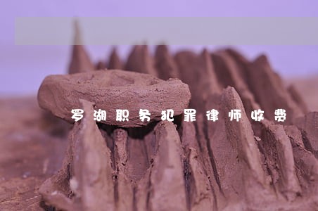 罗湖职务犯罪律师收费 罗湖职务犯罪律师收费