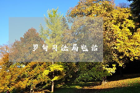 罗甸司法局电话