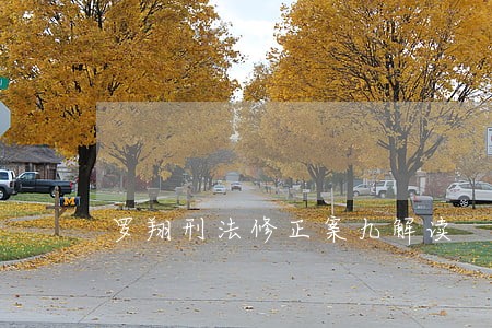 罗翔刑法修正案九解读 罗翔刑法修正案九解读