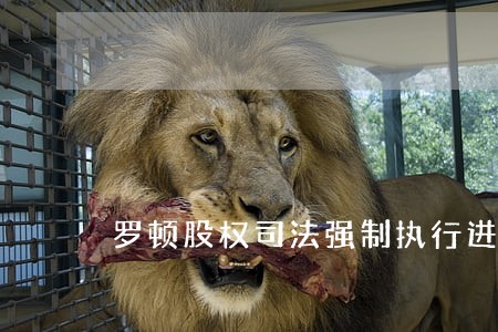 罗顿股权司法强制执行进展 罗顿股权司法强制执行进展