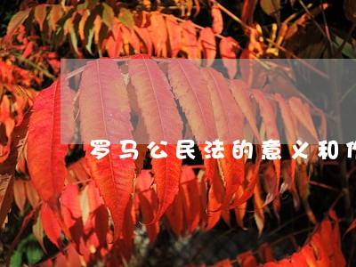 罗马公民法的意义和作用 罗马公民法的意义和作用