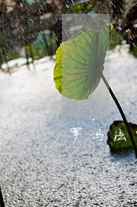 罗马法中的市民法与万民法 罗马法中的市民法与万民法