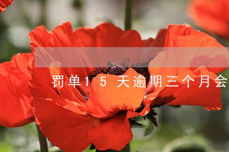 罚单15天逾期三个月会怎样
