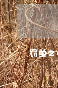 罚单200逾期一个月是多少钱