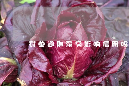 罚单逾期没交影响信用吗 罚单逾期没交影响信用吗