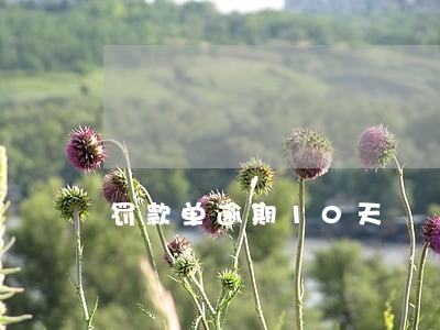 罚款单逾期10天 罚款单逾期10天
