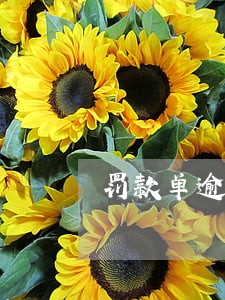 罚款单逾期1天 罚款单逾期1天