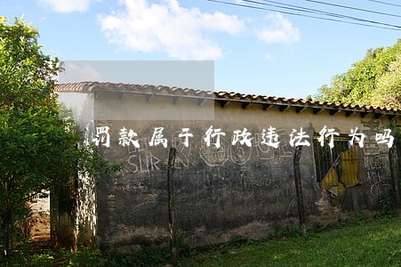 罚款属于行政违法行为吗