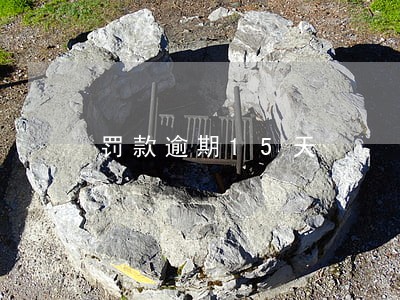 罚款逾期15天