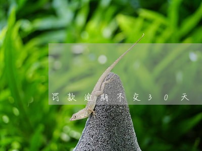 罚款逾期不交30天