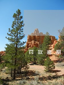 罚款逾期未交影响信用卡吗