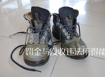 罚金与没收违法所得能否同时适用 罚金与没收违法所得能否同时适用