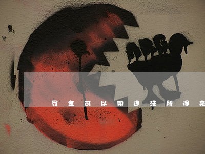 罚金可以用违法所得来上交吗 罚金可以用违法所得来上交吗