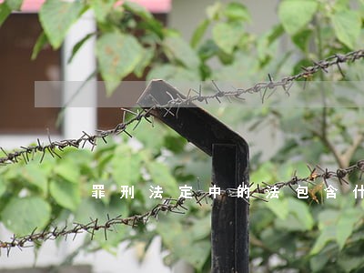 罪刑法定中的法包含什么 罪刑法定中的法包含什么