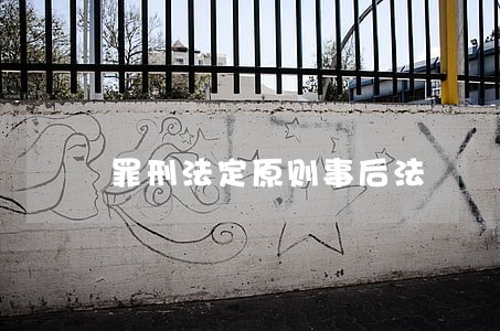 罪刑法定原则事后法 罪刑法定原则事后法