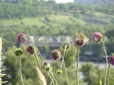 罪刑法定原则本质上