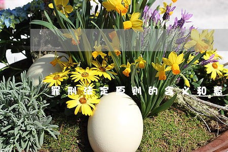 罪刑法定原则的含义和意义 罪刑法定原则的含义和意义