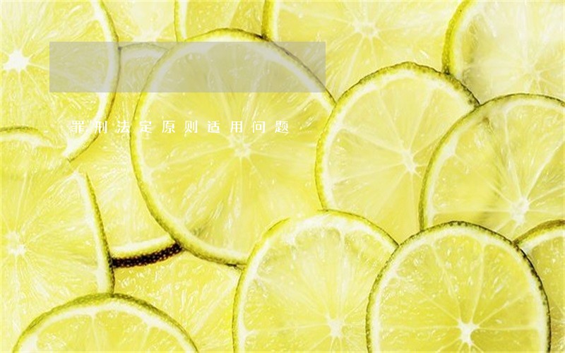 罪刑法定原则适用问题 罪刑法定原则适用问题