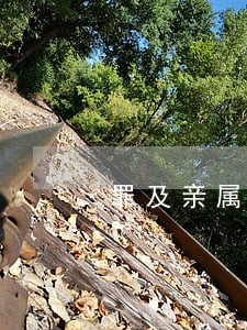 罪及亲属违背了什么原则 罪及亲属违背了什么原则