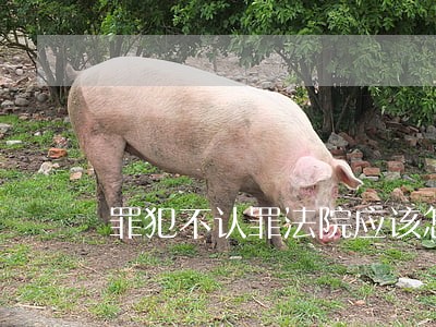 罪犯不认罪法院应该怎么办 罪犯不认罪法院应该怎么办