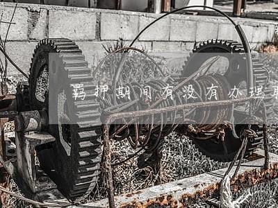 羁押期间有没有办理取保候审