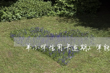 羊小咩信用卡逾期2年能贷款吗 羊小咩信用卡逾期2年能贷款吗