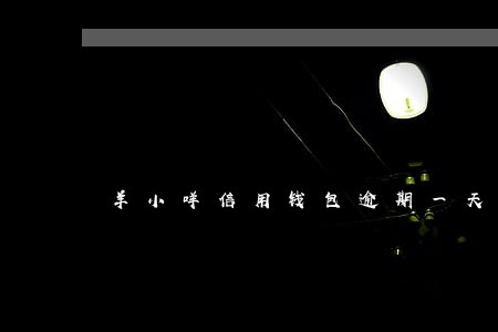 羊小咩信用钱包逾期一天有影响吗 羊小咩信用钱包逾期一天有影响吗