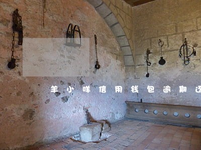 羊小咩信用钱包逾期还上还能用吗 羊小咩信用钱包逾期还上还能用吗