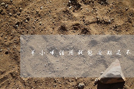 羊小咩信用钱包逾期还不了款 羊小咩信用钱包逾期还不了款