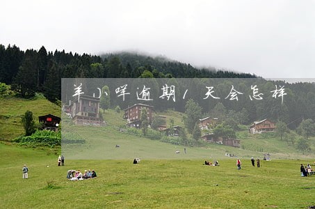 羊小咩逾期1天会怎样 羊小咩逾期1天会怎样