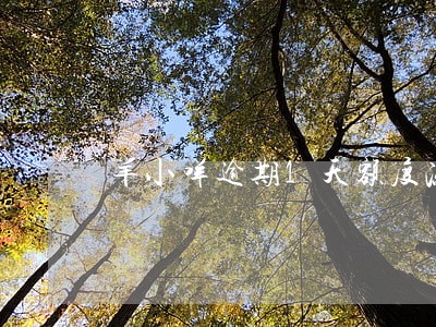 羊小咩逾期1天额度冻结 羊小咩逾期1天额度冻结