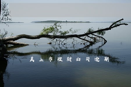 美上市理财公司逾期 美上市理财公司逾期
