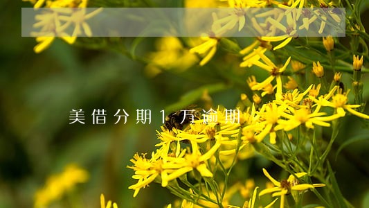 美借分期1万逾期 美借分期1万逾期