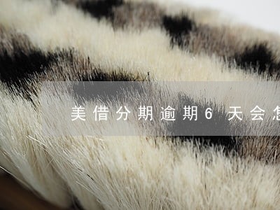 美借分期逾期6天会怎样 美借分期逾期6天会怎样