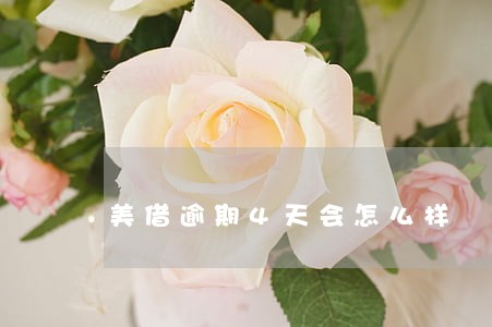 美借逾期4天会怎么样 美借逾期4天会怎么样