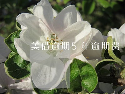 美借逾期5年逾期费 美借逾期5年逾期费